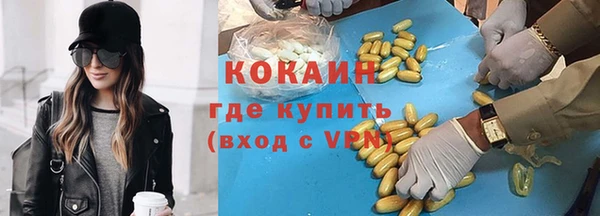 крисы Дмитриев