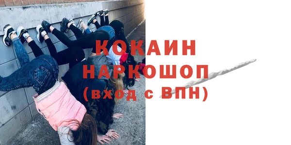 крисы Дмитриев