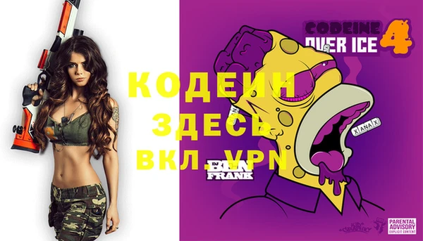 крисы Дмитриев