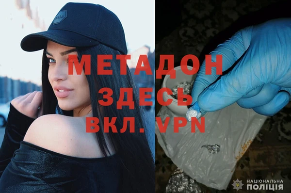 крисы Дмитриев