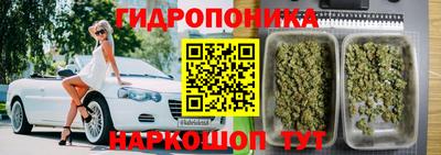 амфетамин Гатчина