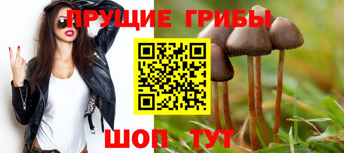Псилоцибиновые грибы MAGIC MUSHROOMS  Вход с VPN  Псилоцибиновые грибы ЛСД  Красноярск 