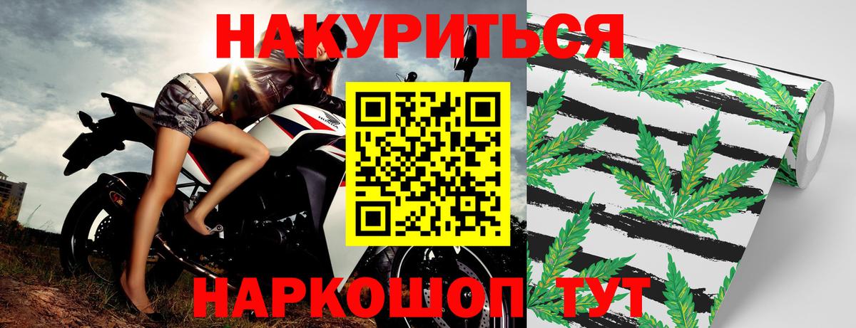 Бошки Шишки планчик Красноярск